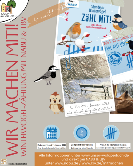 Mitmach-Aktion NABU Wintervogel-Zählung